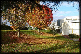 IUT EGLETONS _ Septembre et Octobre 2025