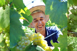 Viticulture bio en Corrèze